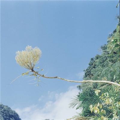 海底小纵队学动物游戏下载