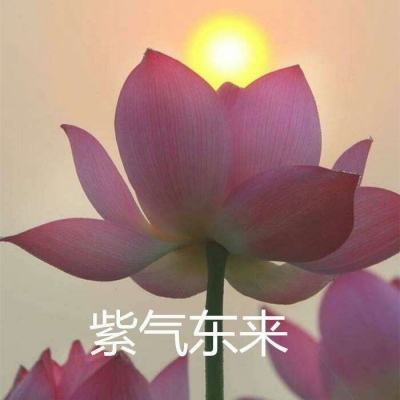 原版传奇手机版(暂未上线)v1.1.0 安卓最新版
