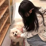 新雪鹰领主黑桃版下载